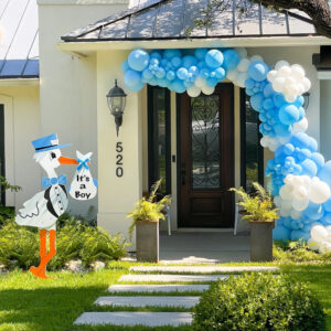 Baby Shower/ Gender Reveal