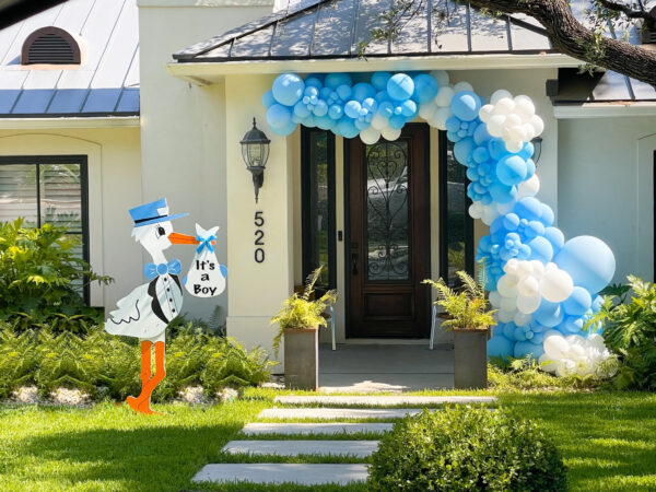 Baby Shower/ Gender Reveal